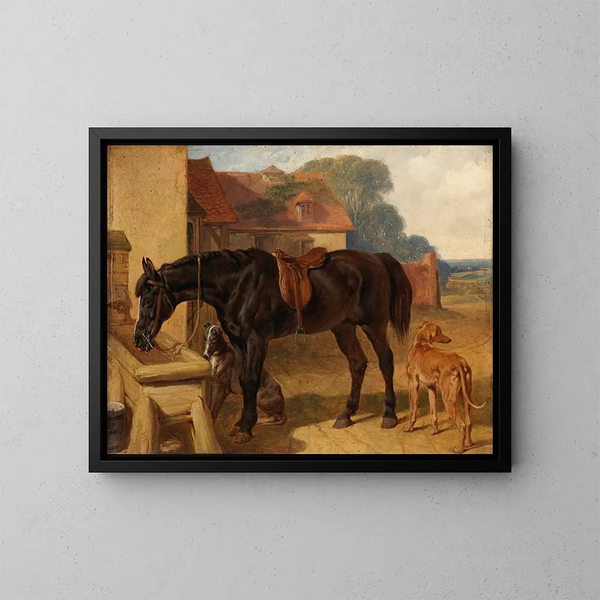 Un cavallo che beve - John Frederick Herring l'Ancien — quadro incorniciato alla parete