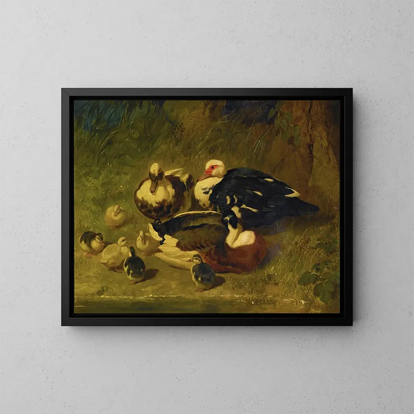 Anatre di Moscovia e paperotti - John Frederick Herring l'Ancien — quadro incorniciato alla parete