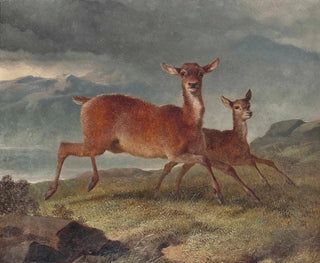 John Frederick Herring Snr - Red hind and calf.webp