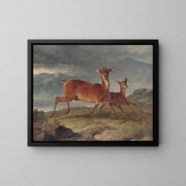 Cervo rosso e cerbiatto - John Frederick Herring l'Ancien — quadro incorniciato alla parete