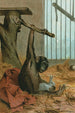 Schimpanse - John George Wood — Ansicht des Kunstwerks