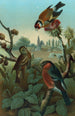 Groupe de pinsons - John George Wood — vista dell’opera