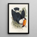 A monograph of Ramphastidae or toucan family Pl06 - John Gould — framed artwork on a wall