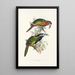 Eine Monographie der Ramphastidae oder Familie der Tukanen Pl21 - John Gould — gerahmtes Bild an der Wand