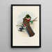 A monograph of the Trogonidae or family of trogons Pl28 - John Gould — framed artwork on a wall