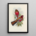 Eine Monographie der Trogonidae oder Familie der Trogons Pl47 - John Gould — gerahmtes Bild an der Wand