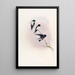 Hirondelle de Népal - John Gould — gerahmtes Bild an der Wand