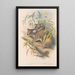 Die Säugetiere Australiens Pl014 - John Gould — gerahmtes Bild an der Wand