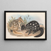 The mammals of Australia Pl029 - John Gould — framed artwork on a wall