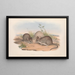 The mammals of Australia Pl112 - John Gould — framed artwork on a wall