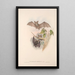 The mammals of Australia Pl143 - John Gould — framed artwork on a wall