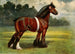 Étalon Shire Halstead Royal Duke - John Hanson Walker Jr — artwork view