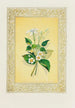 Jasmin und Erdbeerblüte - John Henry Ingram — Ansicht des Kunstwerks