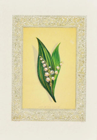 John Henry Ingram - Lily of the valley.webp