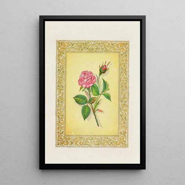 John Henry Ingram - Rose.webp