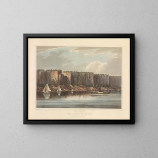 John Hill - The Palisades.webp
