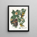 Baltimore Oriole Painting - John James Audubon — framed artwork on a wall
