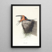 Hirondelle rustique - John James Audubon — gerahmtes Bild an der Wand