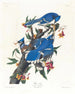 Blue Jay Painting - John James Audubon — artwork view