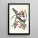 Tyran gris - John James Audubon — gerahmtes Bild an der Wand