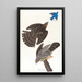 Faucon de Stanley - John James Audubon — quadro incorniciato alla parete
