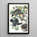 Canard d'estate ou canard branchu - John James Audubon — quadro incorniciato alla parete