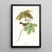 Bruant des marais - John James Audubon — gerahmtes Bild an der Wand