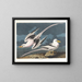 Oiseau tropical - John James Audubon — quadro incorniciato alla parete