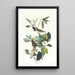 Moucherolle chanteur - John James Audubon — quadro incorniciato alla parete