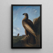 Aigle de mer de Washington - John James Audubon — gerahmtes Bild an der Wand