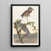 Héron couronné - John James Audubon — quadro incorniciato alla parete