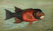 The Sacramento Pike Squawsfish or Ptychocheilus oregonensis with yellow belly - John L. Petrie — artwork view