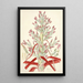 Collectanea botanica Pl01 - John Lindley — quadro incorniciato alla parete