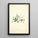 Collectanea botanica Pl04 - John Lindley — gerahmtes Bild an der Wand