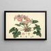 Collectanea botanica Pl07 - John Lindley — quadro incorniciato alla parete