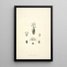 Collectanea botanica Pl24 - John Lindley — quadro incorniciato alla parete