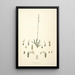 Collectanea botanica Pl30 - John Lindley — quadro incorniciato alla parete