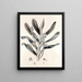 Collectanea botanica Pl. 38 - John Lindley — quadro incorniciato alla parete