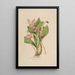Sertum orchidaceum Eine Krone der schönsten Orchideenblumen Pl09 - John Lindley — gerahmtes Bild an der Wand