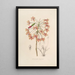 Sertum orchidaceum Une couronne des plus belles fleurs orchidées Pl13 - John Lindley — quadro incorniciato alla parete