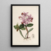 Sertum orchidaceum Eine Krone der schönsten Orchideenblumen Pl22 - John Lindley — gerahmtes Bild an der Wand