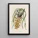 Sertum orchidaceum Eine Krone der schönsten Orchideenblumen Pl31 - John Lindley — gerahmtes Bild an der Wand