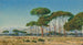 in Cannes, Frankreich - John Mulcaster Carrick — Ansicht des Kunstwerks