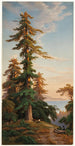 Sequoias Santa Cruz Mts Cal - John Ross Key — Ansicht des Kunstwerks