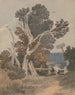Ein Baumgruppe in der Nähe eines Zauns - John Sell Cotman — Ansicht des Kunstwerks