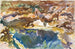 Uomo e piscina, Florida - John Singer Sargent — vista dell’opera
