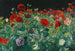 Mohnblumen - John Singer Sargent — Ansicht des Kunstwerks