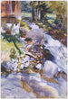 Wildbach - John Singer Sargent — Ansicht des Kunstwerks