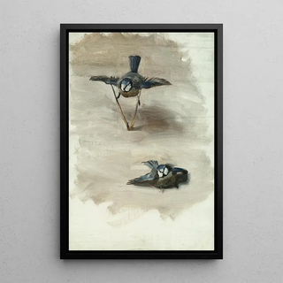 John Singer Sargent - Studies of a Dead Bird.webp