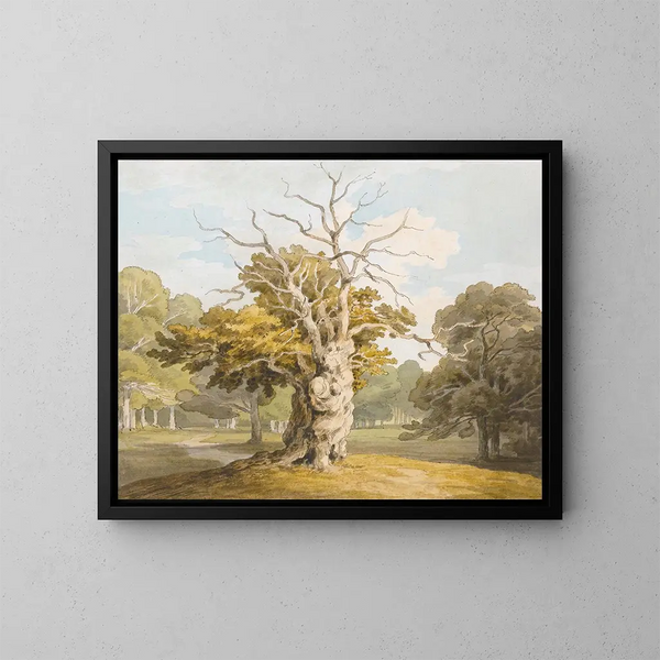 Un quercia a Kedleston Hall, Derbyshire - John White Abbott — quadro incorniciato alla parete